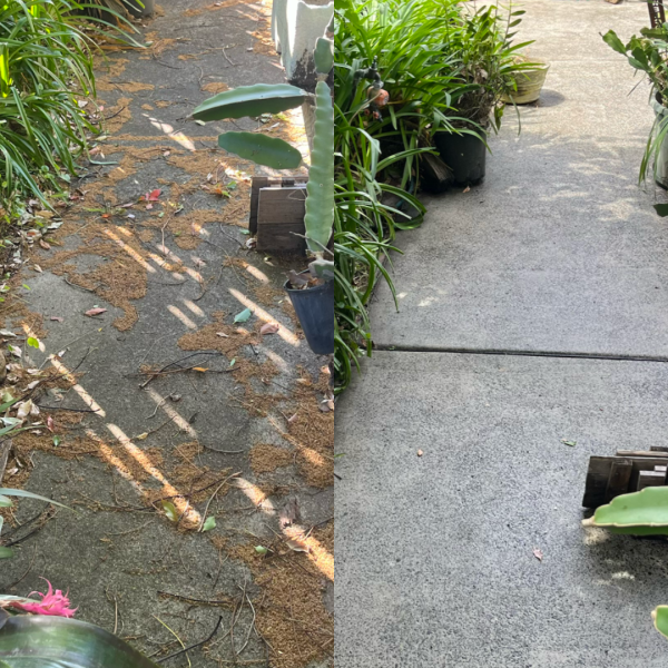 copy_969D8C00-BABC-46A4-9235-0FAE1343C34F